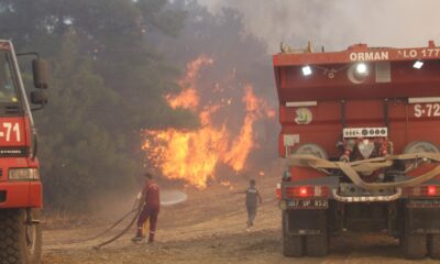 Manavgat’ta orman yangını devam ediyor, metrelerce yükselen alevler böyle görüntülendi