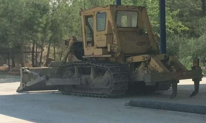 Manavgat’ta telef olan hayvanlar gömülüyor