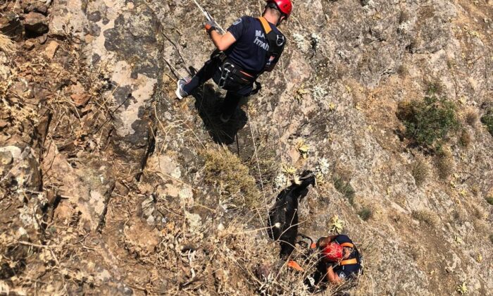 Manisa itfaiyesinden keçi operasyonu