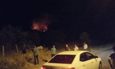 Manisa’da orman yangını başladı