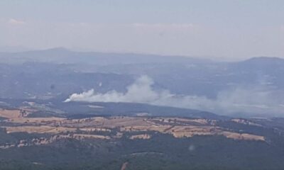 Manisa’da orman yangını kontrol altına alındı