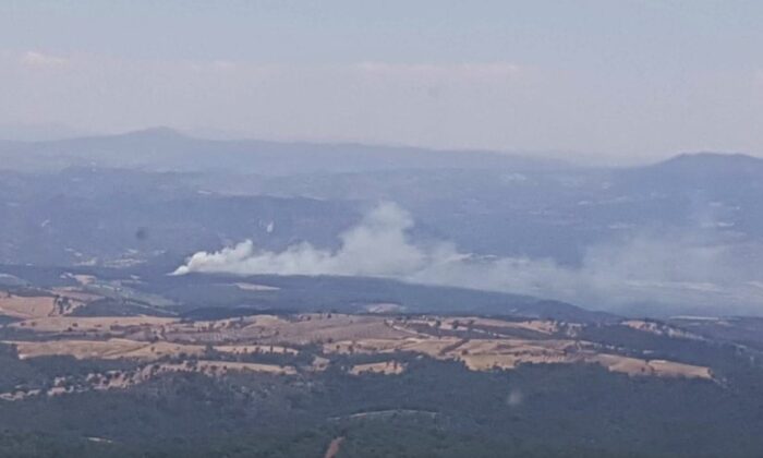 Manisa’da orman yangını kontrol altına alındı