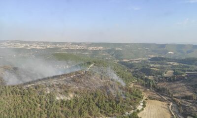 Manisa’daki orman yangını kontrol altında