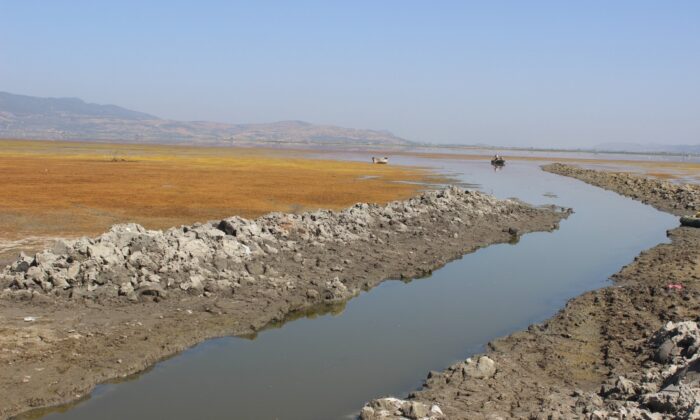 Marmara kuruyor, canlılar ölüyor
