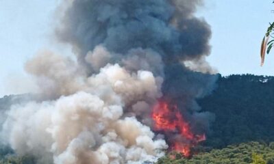 Marmaris’teki orman yangınının ilk başladığı ana ait görüntüler ortaya çıktı