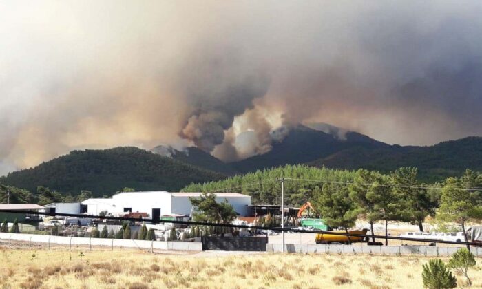 Marmaris’teki yangına 1 uçak 8 helikopterle müdahale ediliyor