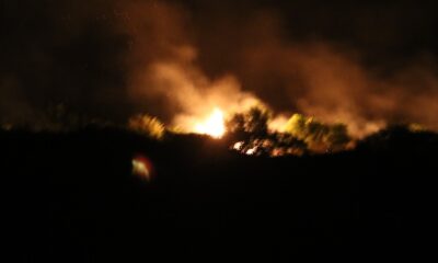 Meriç Nehri’ndeki adada çıkan yangında ağaçlar zarar gördü