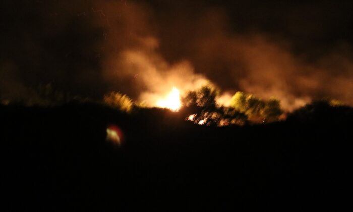 Meriç Nehri’ndeki adada çıkan yangında ağaçlar zarar gördü