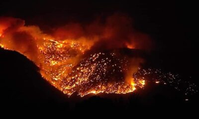 Mersin Aydıncık’taki orman yangını sürüyor