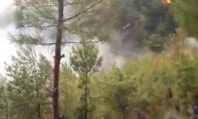 Mersin’de bir orman yangını daha çıktı