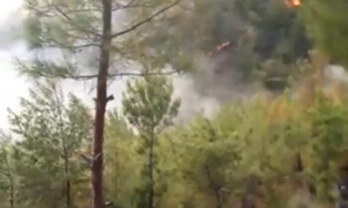 Mersin’de bir orman yangını daha çıktı