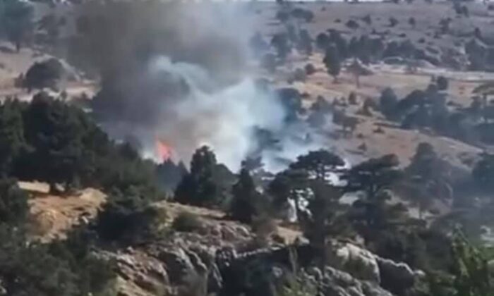 Mersin’de orman yangını büyümeden söndürüldü