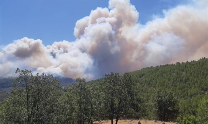 Mersin’de ormanlık alanlara girişler yasaklandı
