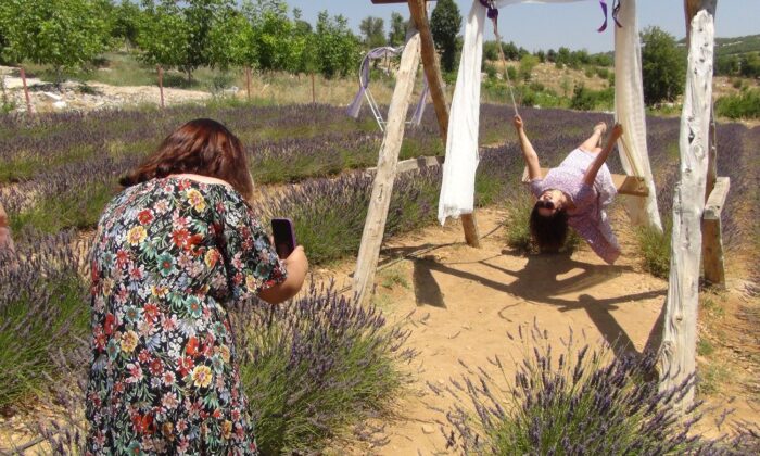 Mersin’in ilk lavanta bahçesi yoğun ilgi görüyor