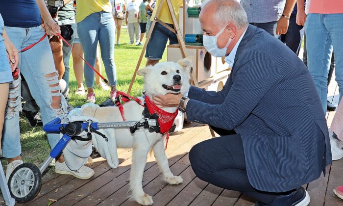 Mersinliler, sokak hayvanları yararına düzenlenen panayırda buluştu