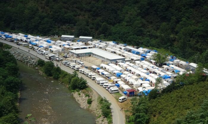 Mevsimlik tarım işçileri fındık hasadı için Ordu’da