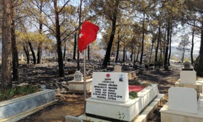 Mezarlık yandı, şehidin mezarı ve bayrak sapasağlam ayakta kaldı