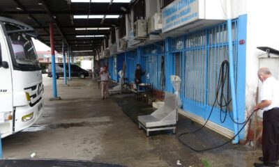 Mezgit, tarihinin en yüksek fiyatını gördü