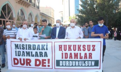 Mısır’da darbe karşıtlarının idam edilmesi Van’da protesto edildi