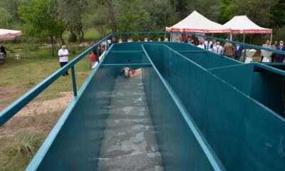 Mobil Koyun Banyoculuğu Makinesi vatandaşların hizmetine sunuldu