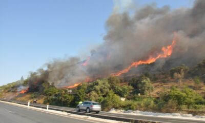 Muğla’da orman yangınları korkutuyor