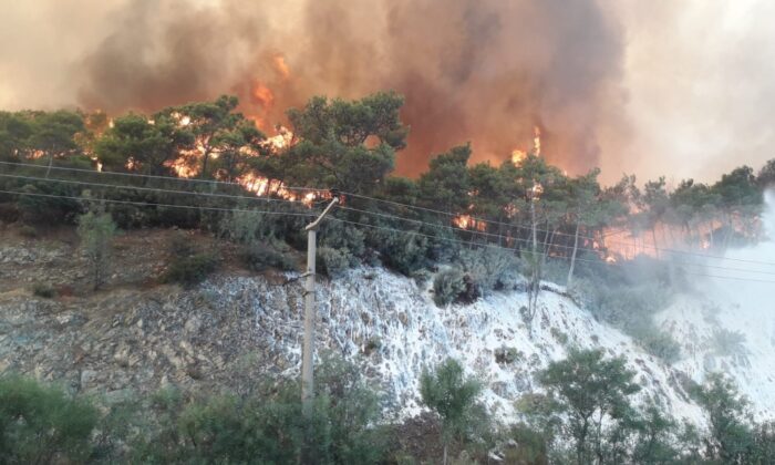 Muğla’nın bazı bölgelerinde yangın dolayısıyla elektrikler kesildi