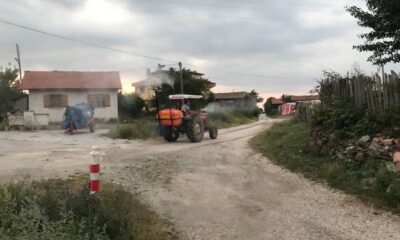 Muhtar köyü sineklere karşı ilaçlıyor