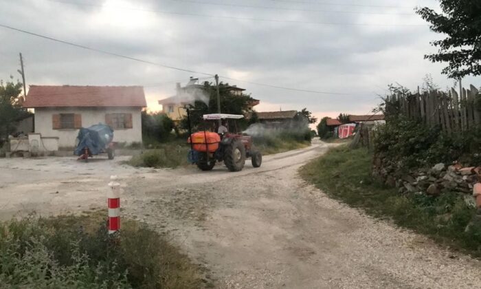 Muhtar köyü sineklere karşı ilaçlıyor