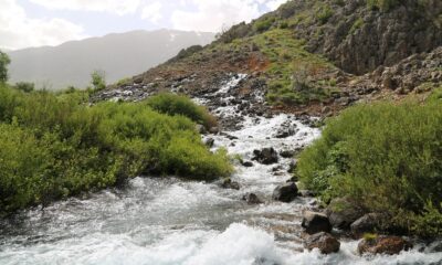Munzur Vadisi Milli Parkı’nın insan etkileşimine kapatılması çağrısı