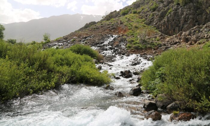 Munzur Vadisi Milli Parkı’nın insan etkileşimine kapatılması çağrısı