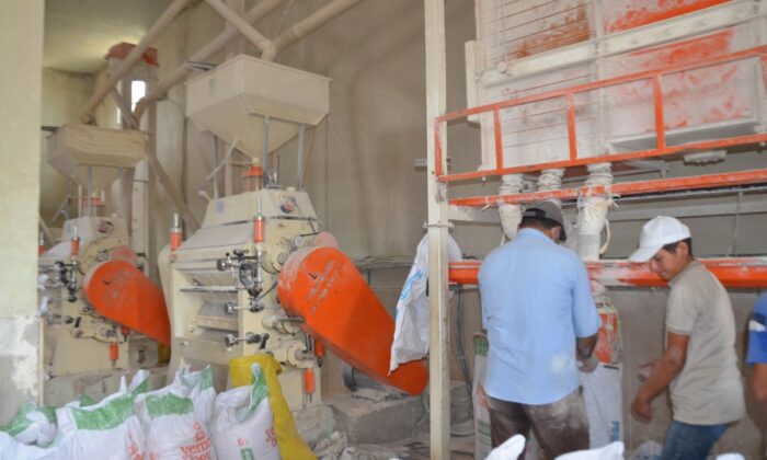 Muş’ta hasadı yapılan buğday taş değirmenlerde öğütülüyor