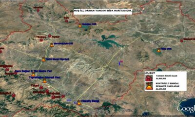 Muş’ta ormanlık alanlara giriş ve çıkışlar yasaklandı