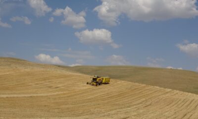 Muş’ta yılın ilk arpa hasadına başlandı