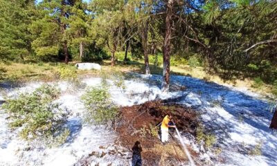Mustafakemalpaşa’da çıkan orman yangına zamanında müdahale