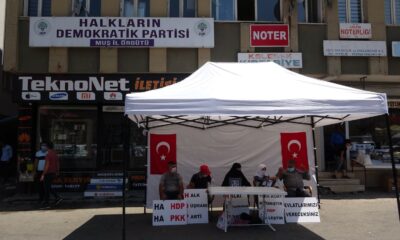 Muş’taki ilk evlat buluşması, HDP önünde eylem yapan annelere umut oldu