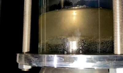 Nallıhan Belediyesi’nden lavanta üreticilerine destek