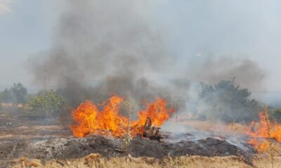 Nazilli’de tarım arazisi yangını
