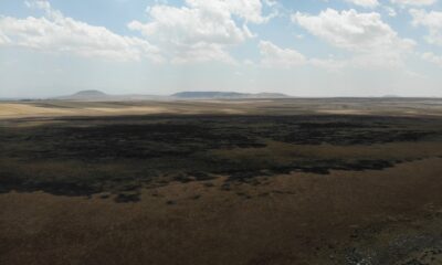 Ne bir damla su ne de kuş kaldı