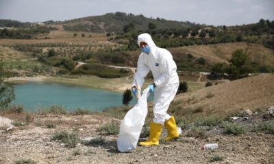 Ölüme terk edilen civcivler toplanmaya başlandı