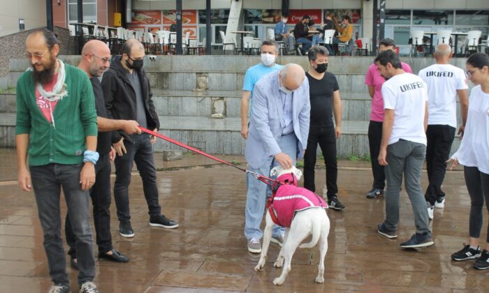 OMÜ çalışanı ve öğrencilerine AFAD’dan temel köpek eğitimi