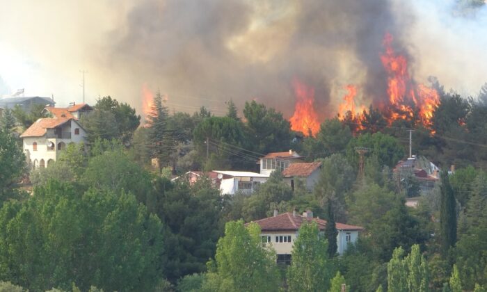Orman yangını evlere sıçradı