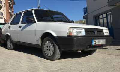 Orman yangınına bakmaya giden ailenin başına gelmeyen kalmadı