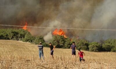 Orman yangınında dumanlar gökyüzünü kapladı