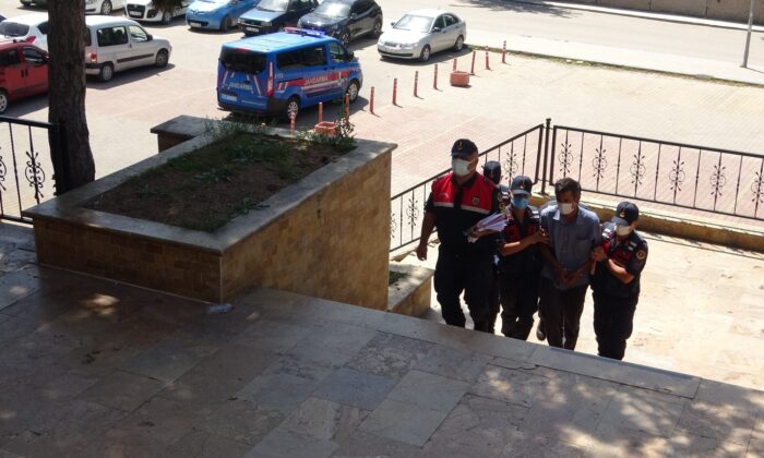 Orman yangınının şüphelisi adli kontrol şartıyla serbest bırakıldı