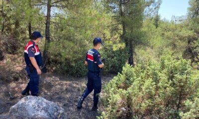 Orman yangınlarına karşı jandarma ekipleri teyakkuza geçti