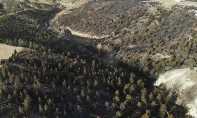 Ormanlara giriş ve çıkışlar yasaklandı