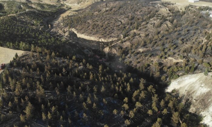 Ormanlara giriş ve çıkışlar yasaklandı