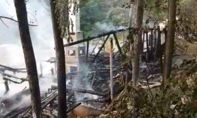 Ormanlık alandaki ahşap restoranda çıkan yangın panik oluşturdu