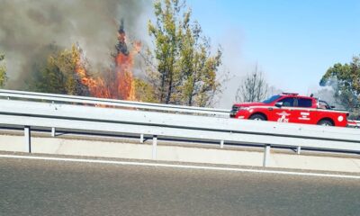 Ortaca’da ormanlık alanda çıkan yangın kontrol altına alındı