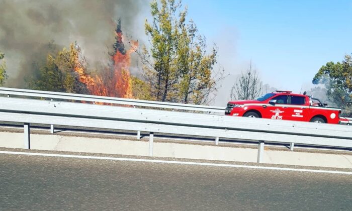 Ortaca’da ormanlık alanda çıkan yangın kontrol altına alındı